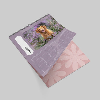 Pastel Calendar Collection