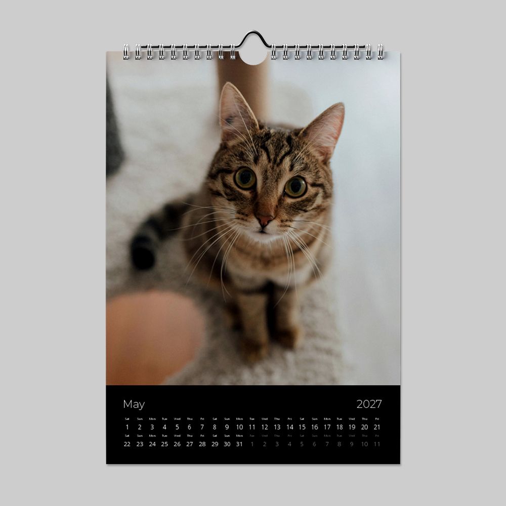 Minimalist Black Calendar Collection