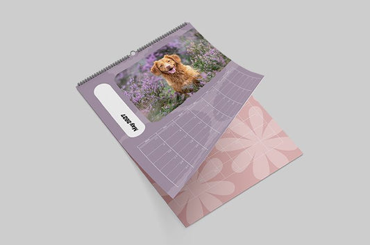 Pastel Calendar Collection